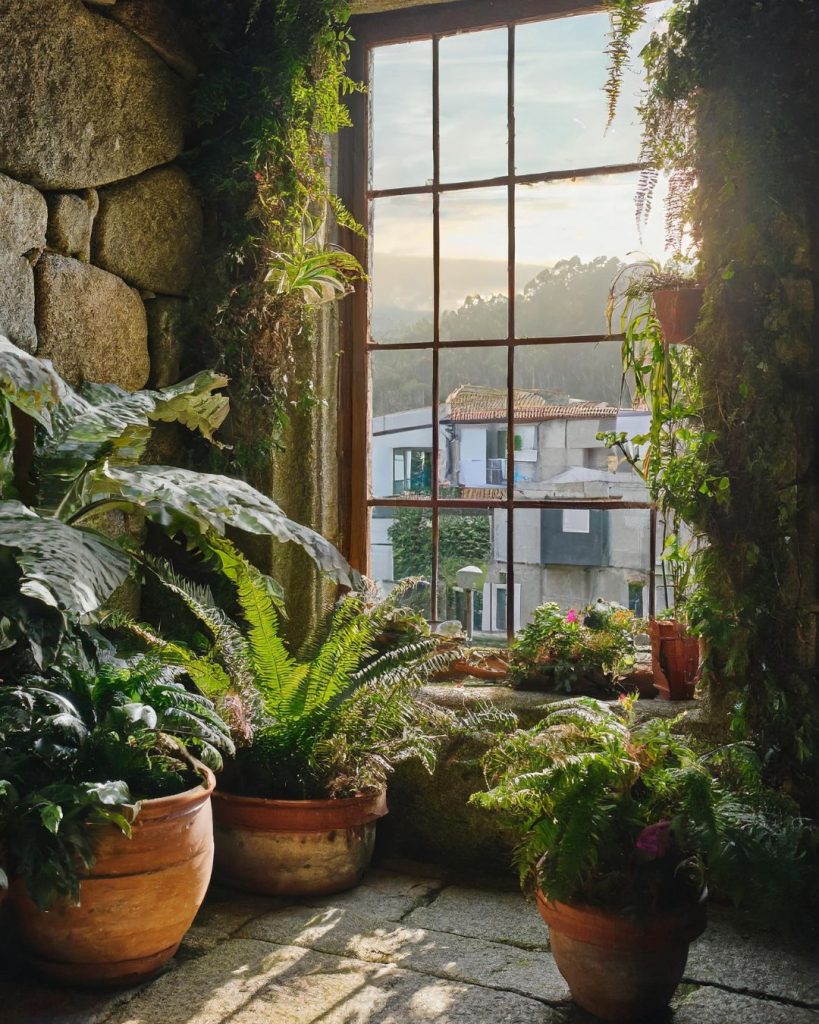 plantasen-a-coruña