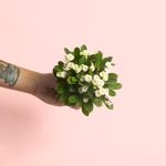 euphorbia-milli-white