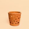 maceta terracota orquideas m