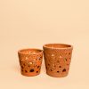 macetas terracota para orquideas
