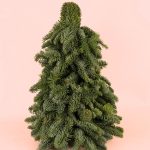 arbol-natural-navidad-verde