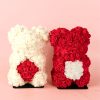 peluche oso de flores para regalar