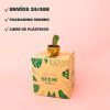Crassula Buddha_s Temple mini envio
