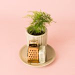 Ambientador solido mini planta asparagus