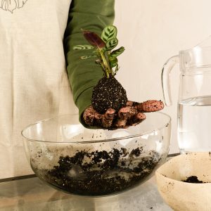 como hacer kokedama (23)
