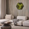 cuadro-jardin-vertical-hexagono-salon-contexto (1)