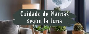 cuidado de plantas según la luna
