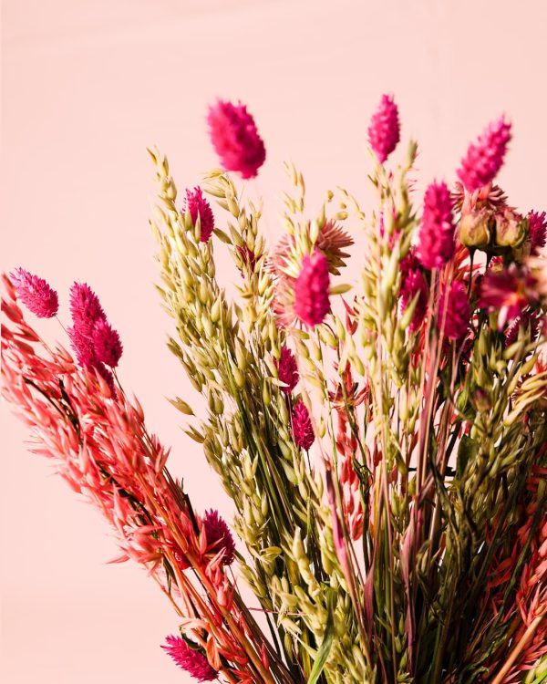 flores secas lady bird