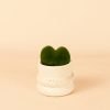 Wave -Mini Maceta Cerámica White planta