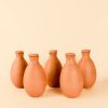 kit olla autorriego 1L