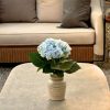 hortensia azul en terraza