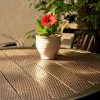 Gerbera Mix Mini-contexto