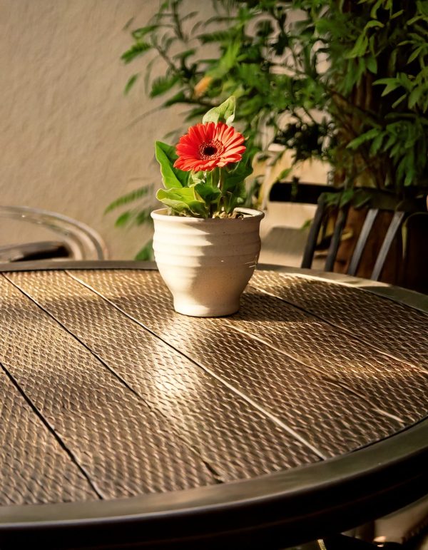 Gerbera Mix Mini-contexto