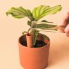 Mini Tubo Autorriego agua