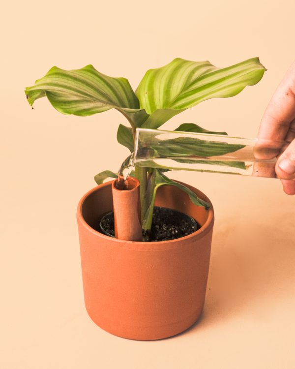 Mini Tubo Autorriego agua