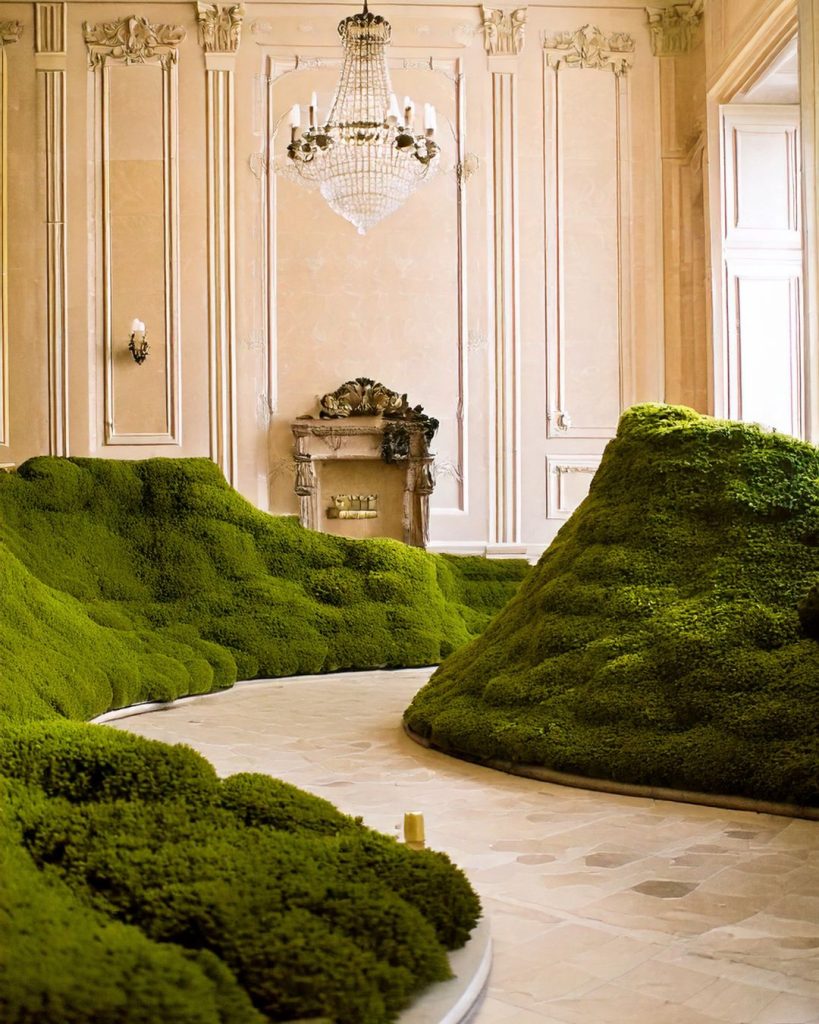 alquiler plantas para eventos