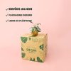 hibiscus variegado mini packaging