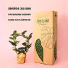 jazmin madagascar packaging