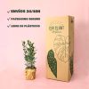 laurel packaging