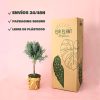 lavanda packaging