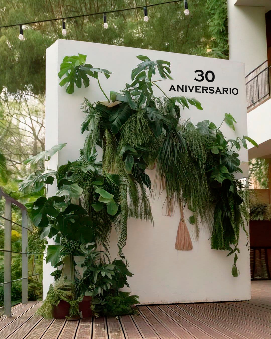 alquiler plantas