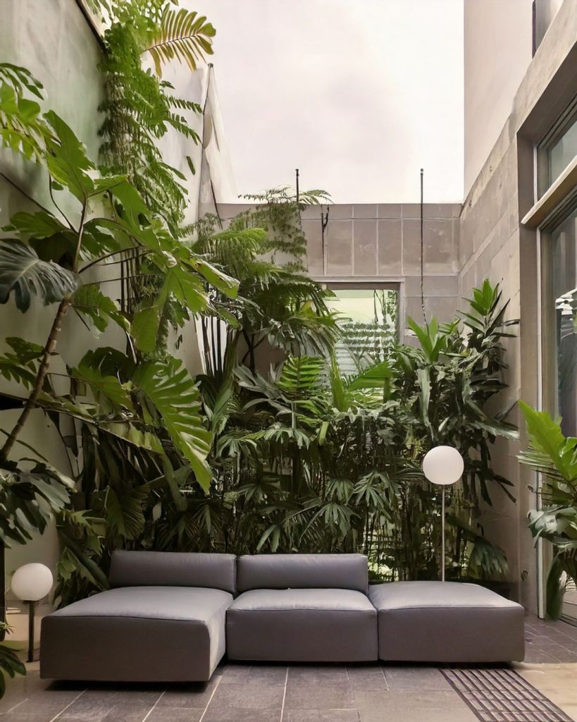 plantas de exterior sin flor