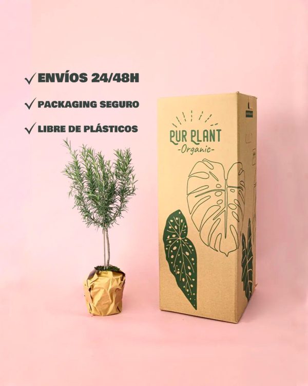 romero packaging