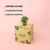 salvia packaging