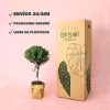 tomillo packaging