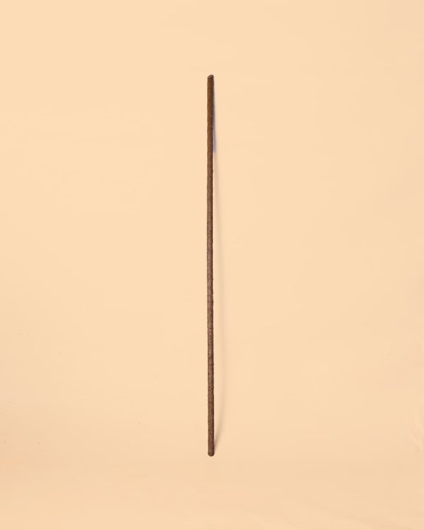 stick tutor biodegradable palo