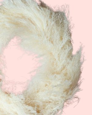 corona blanca calma (4)