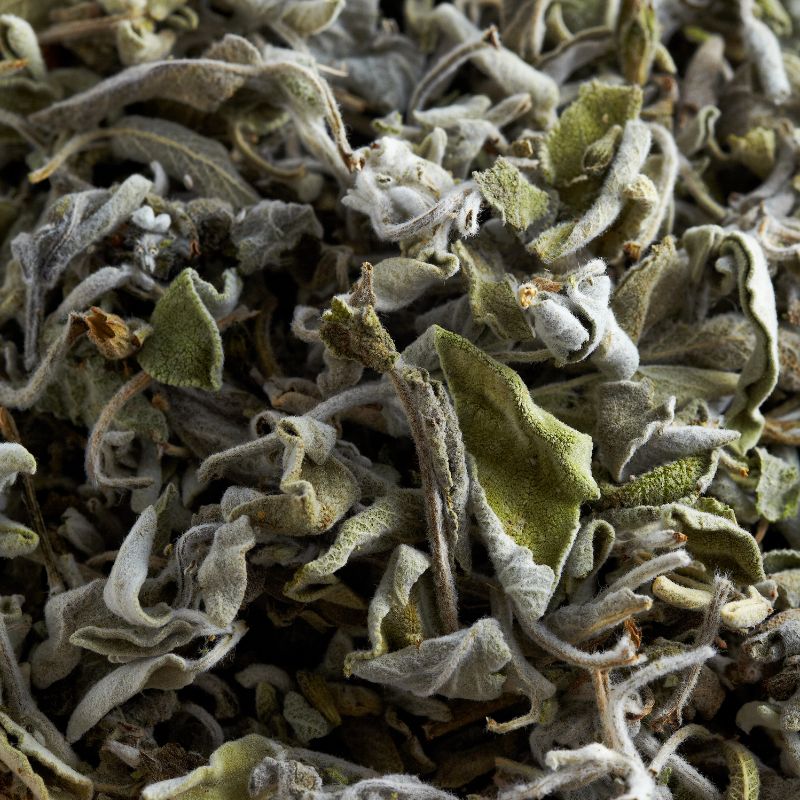 hojas secas salvia