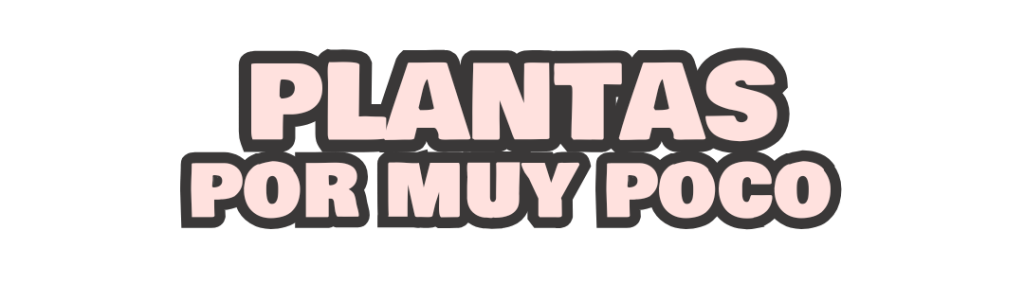 PLANTAS POR MUY POCO