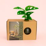 happy box regalo