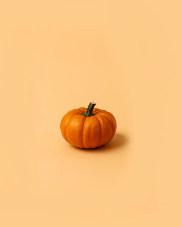 mini calabaza jack