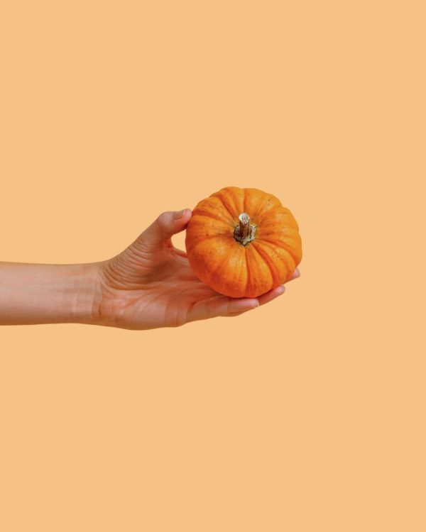 mini calabaza jack halloween