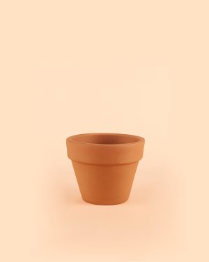 mini-maceta-terracota-classic