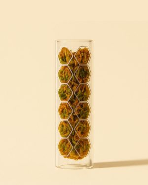 mini tutor transparente musgo