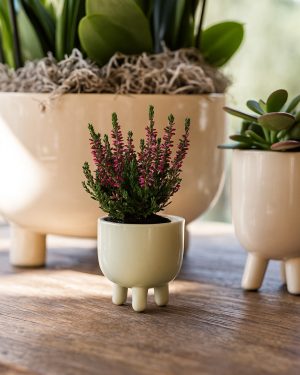 potit-Mini-Maceta-Ceramica-contexto