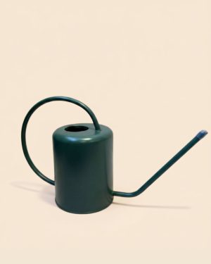regadera de interior verde 1.4l