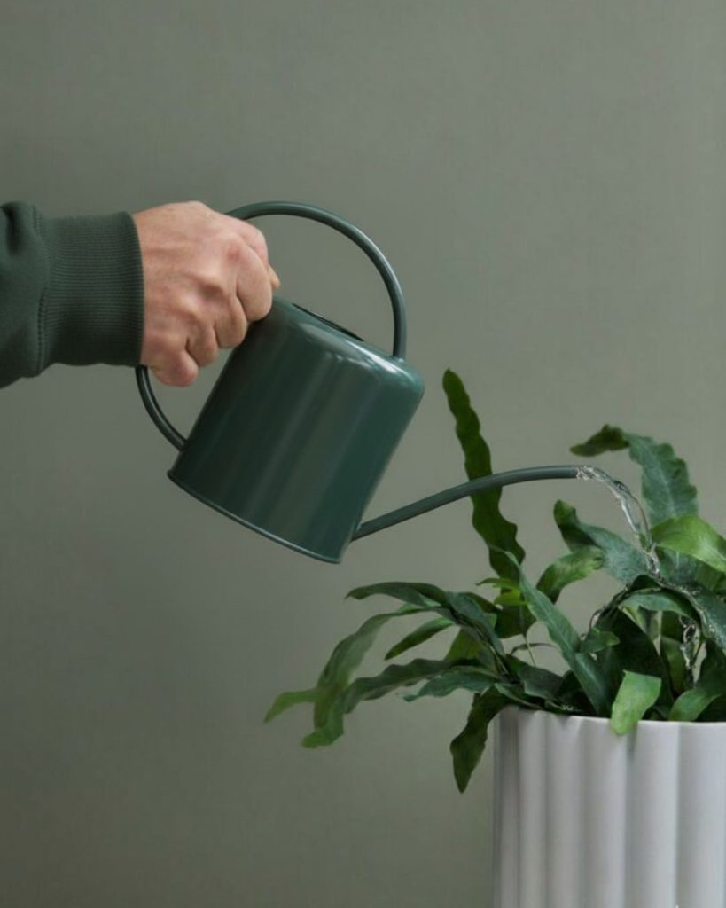 regadera verde riego