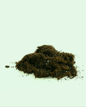 Sustrato Orgánico para plantas verdes granel