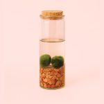 marimo ball tubo