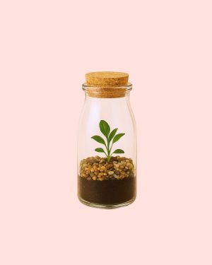 message mini terrario
