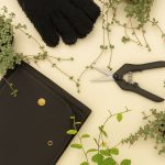 1-Pack-botanic-tools