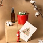 Hypoestes-confetti-navidad