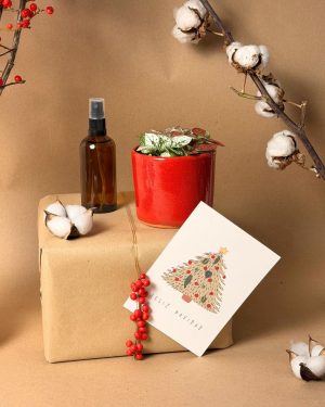 Hypoestes-confetti-navidad