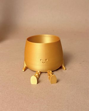 Acebo-variegado-happy-pot-dorada