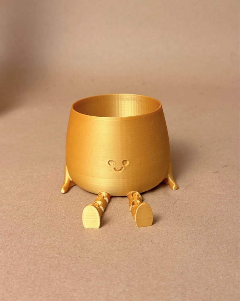 Acebo-variegado-happy-pot-dorada