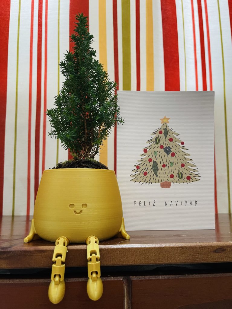 Imagen #1 de Inma Torralbo Martinez